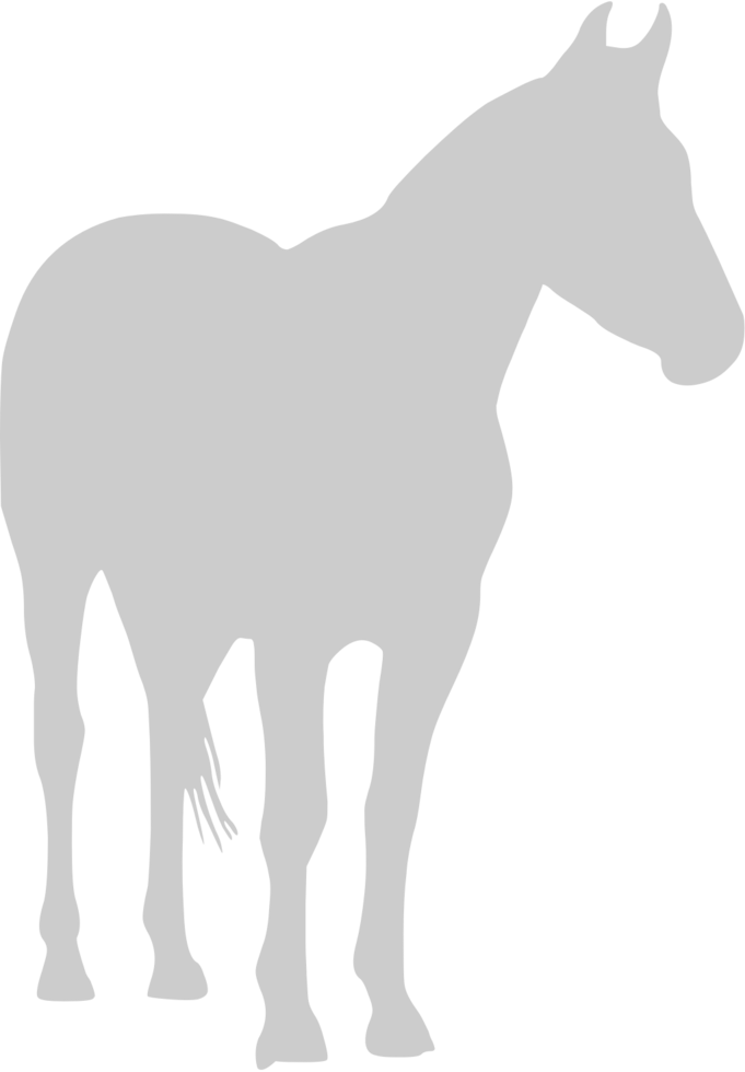 Horse vector