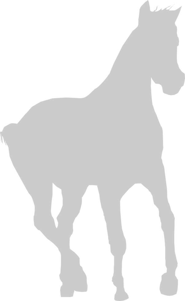 Horse vector