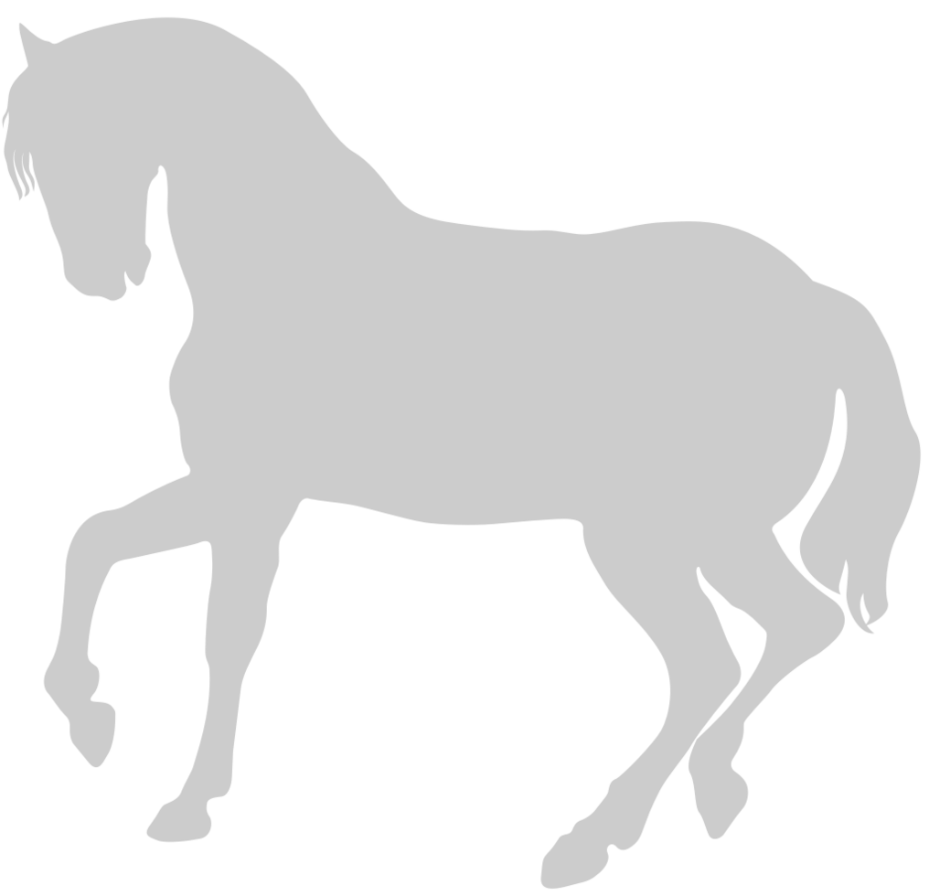 Horse vector
