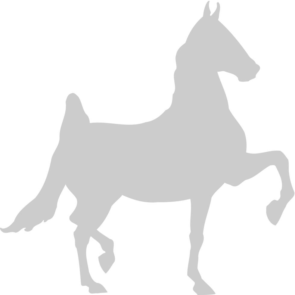 Horse vector
