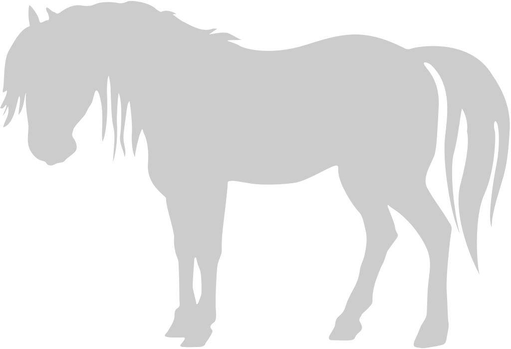 Horse vector