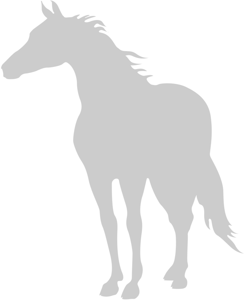 Horse vector