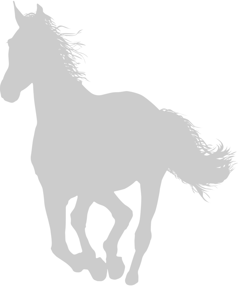 Horse vector