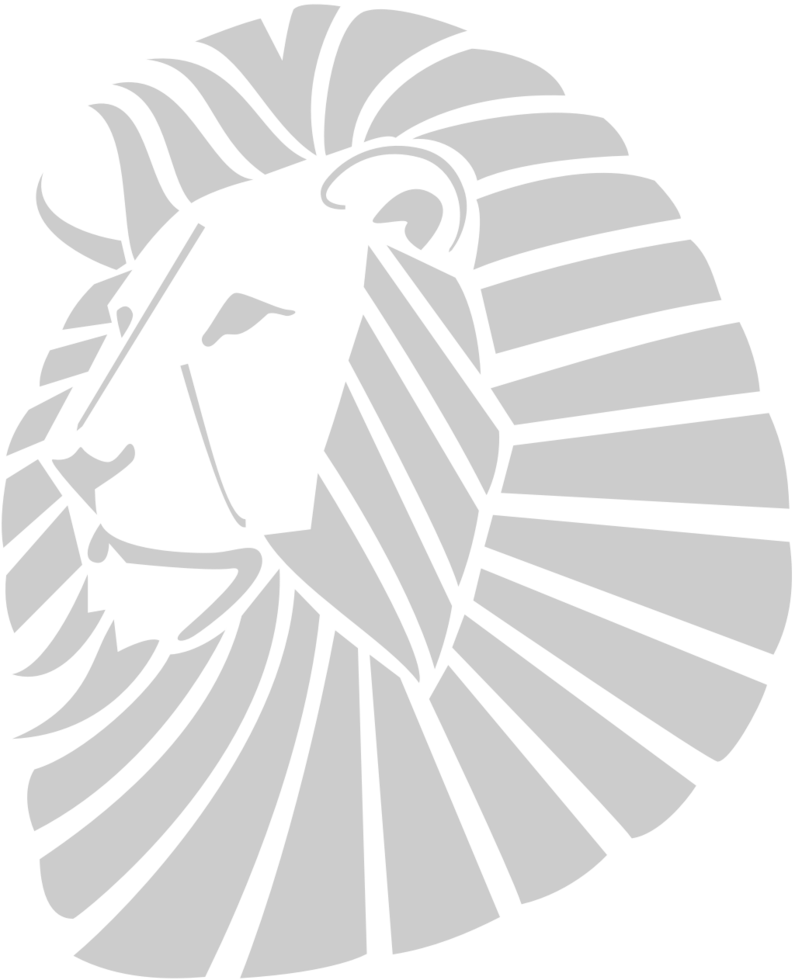 Lion logo vector