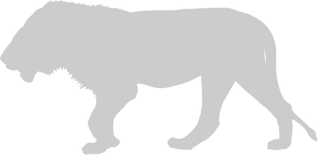 Lion vector