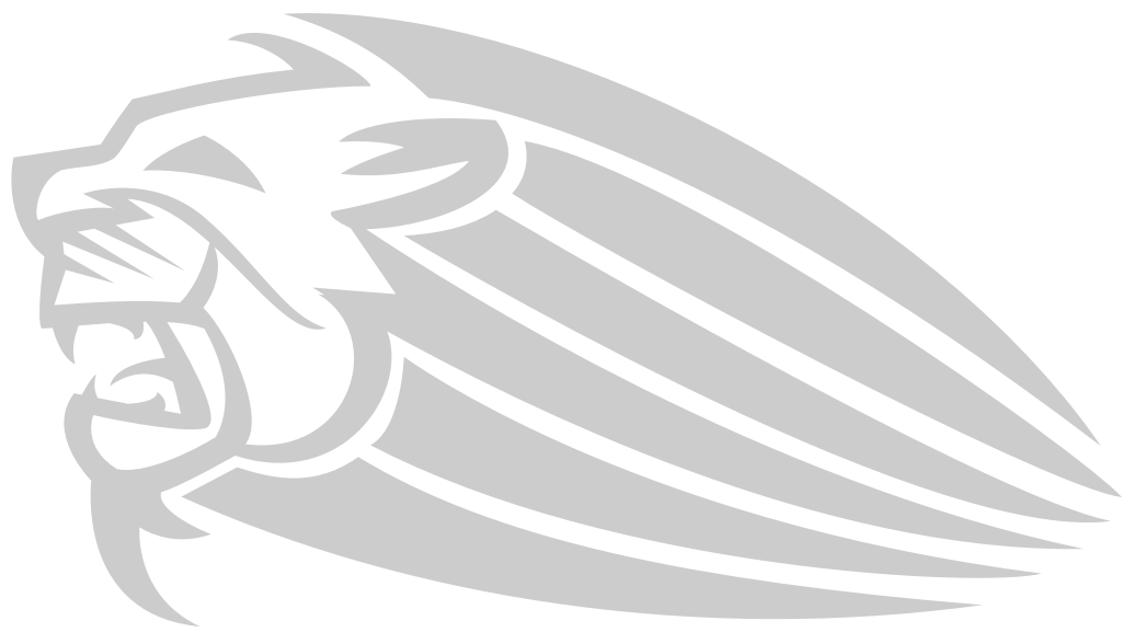 Lion head vector