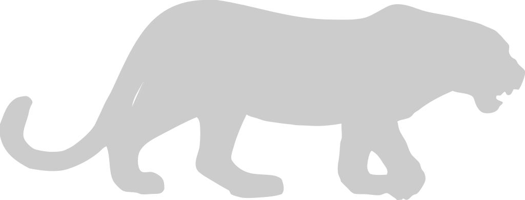 Leopard vector