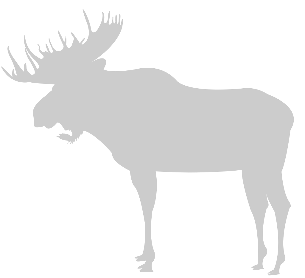 Moose vector