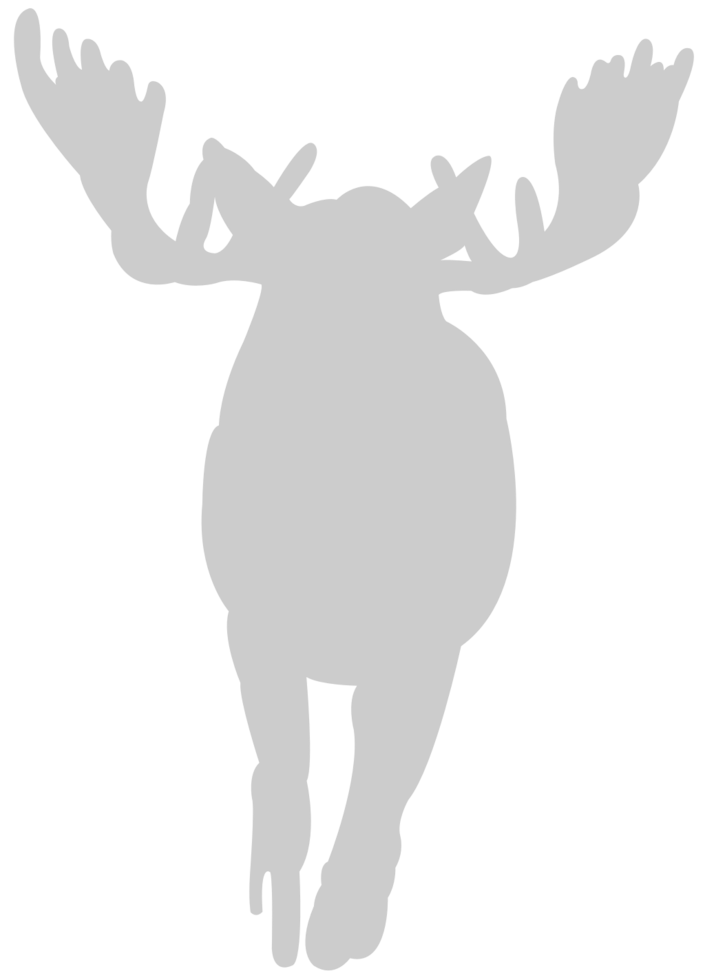 Moose vector