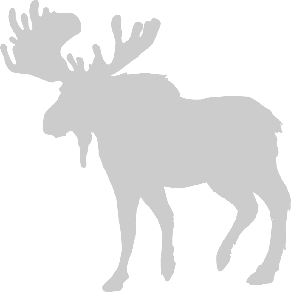 Moose cartoon vector