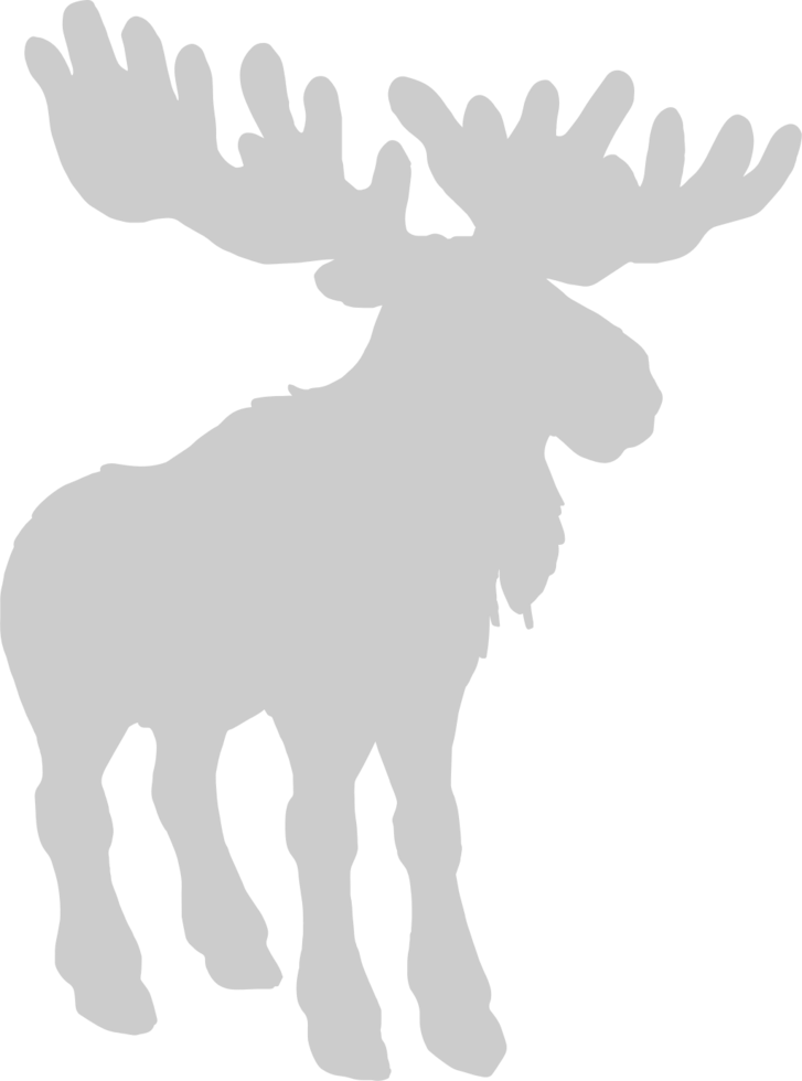 Moose cartoon vector