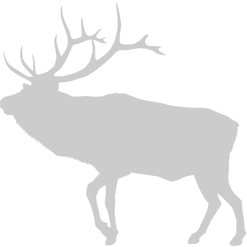 Moose vector