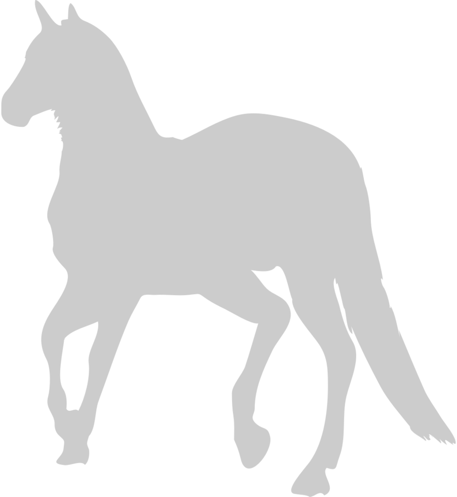 Mustang vector