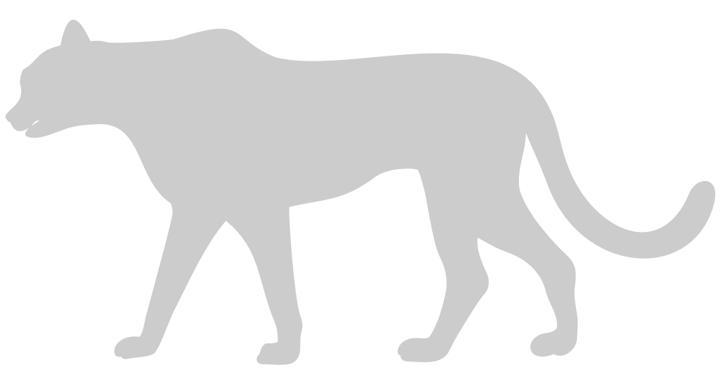 Panther vector