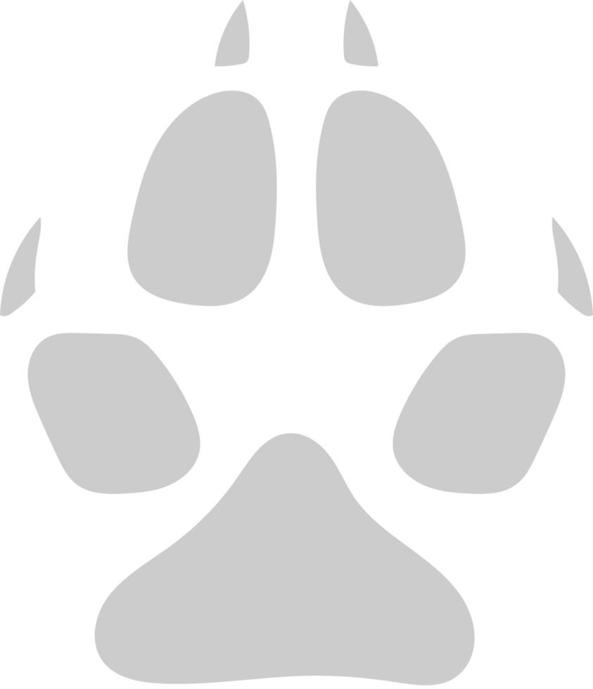 Paw vector