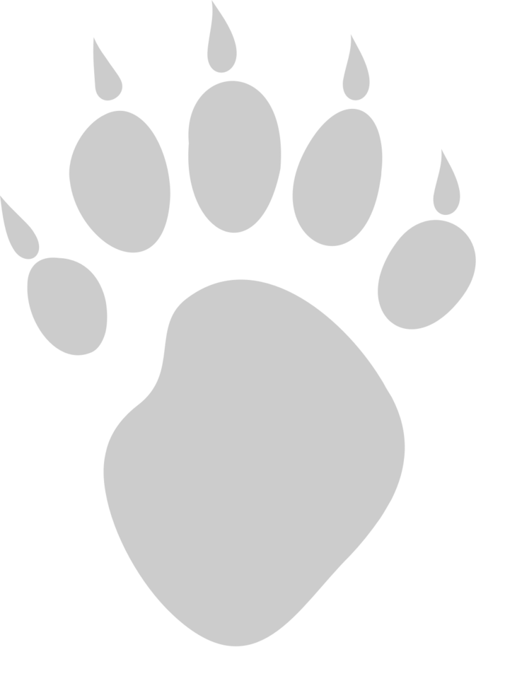 Paw vector