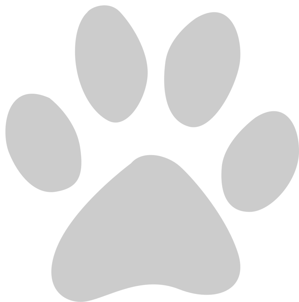 Paw vector