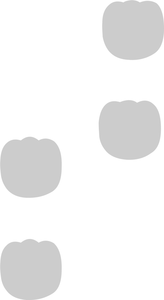 Paw vector