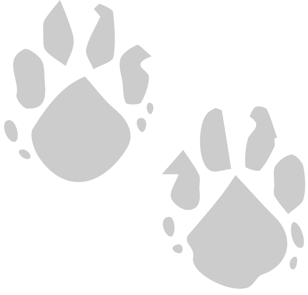 Paw vector