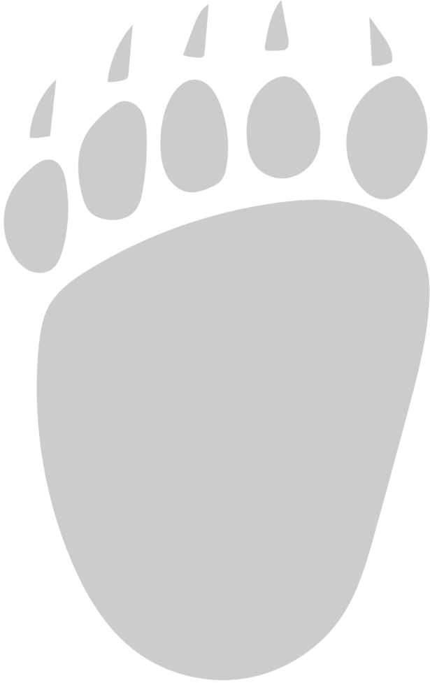 Paw vector