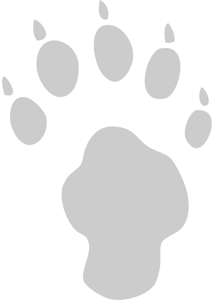 Paw vector