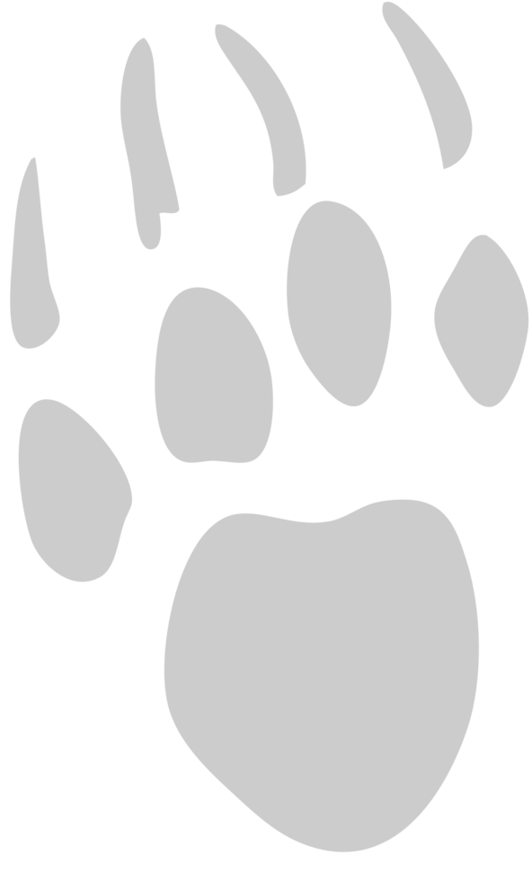 Paw vector