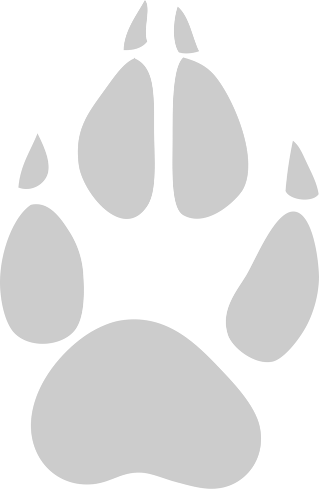 Paw vector