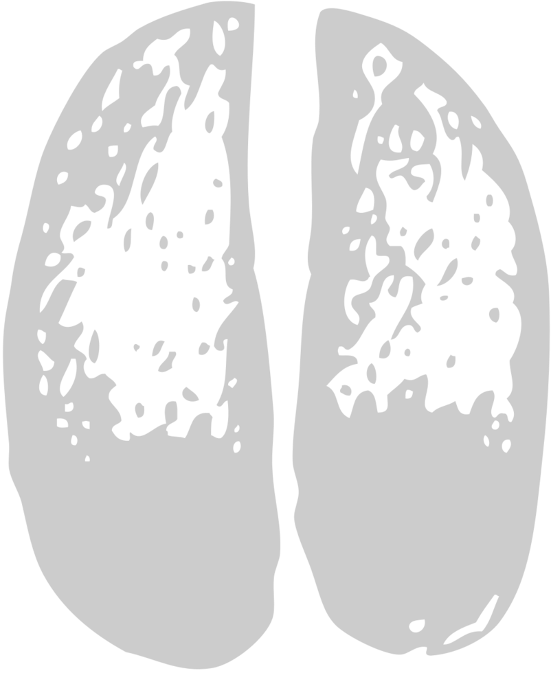 Paw vector