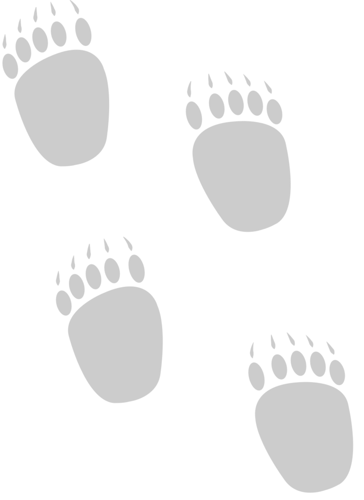 Paw vector