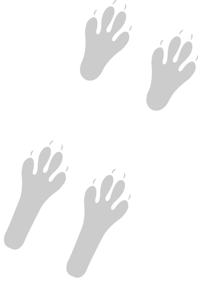 Paw vector