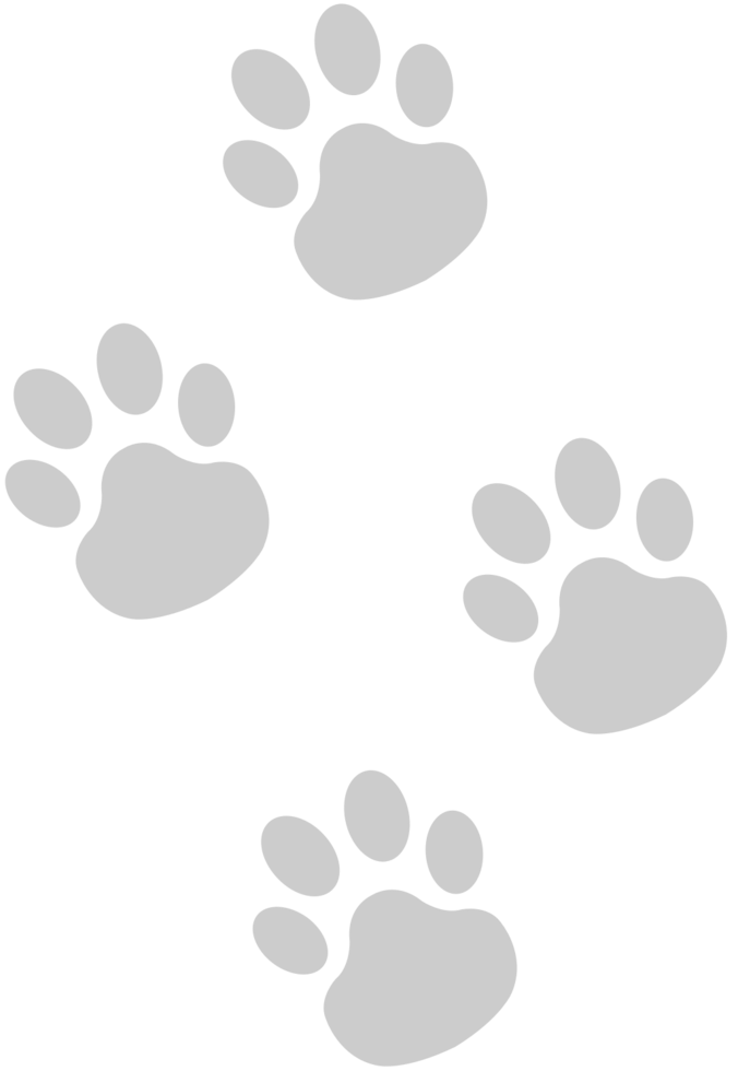 Paw vector