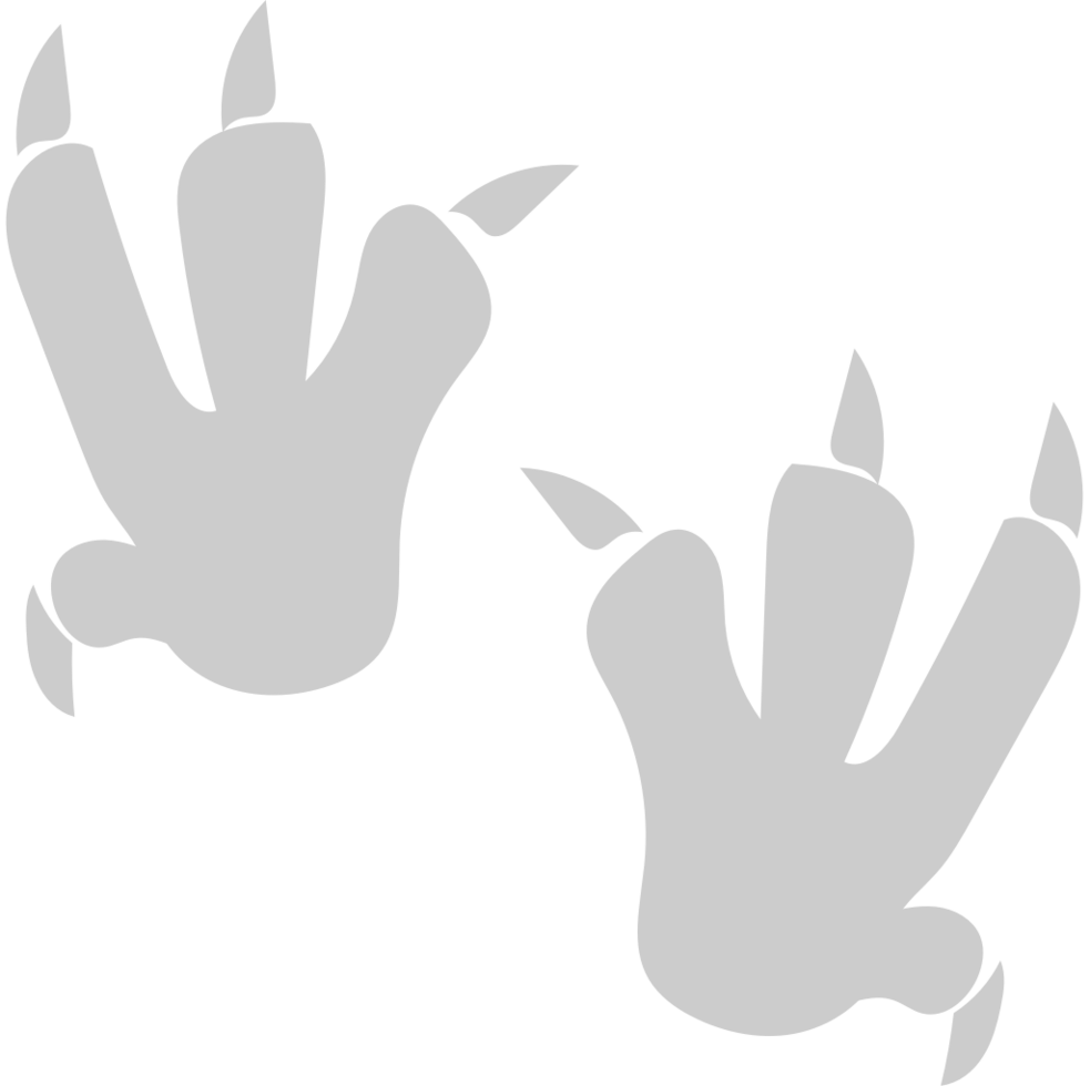 Paw vector