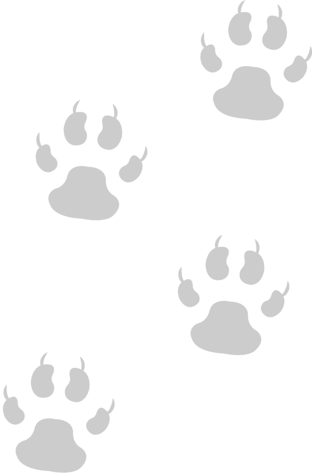 Paw vector