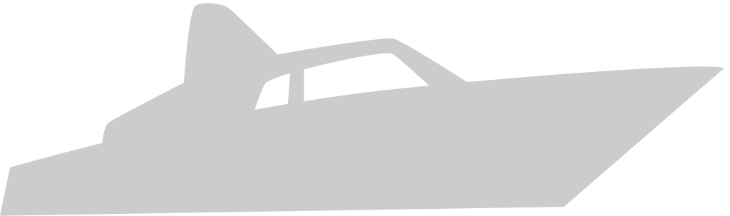 Cruise Ship vector