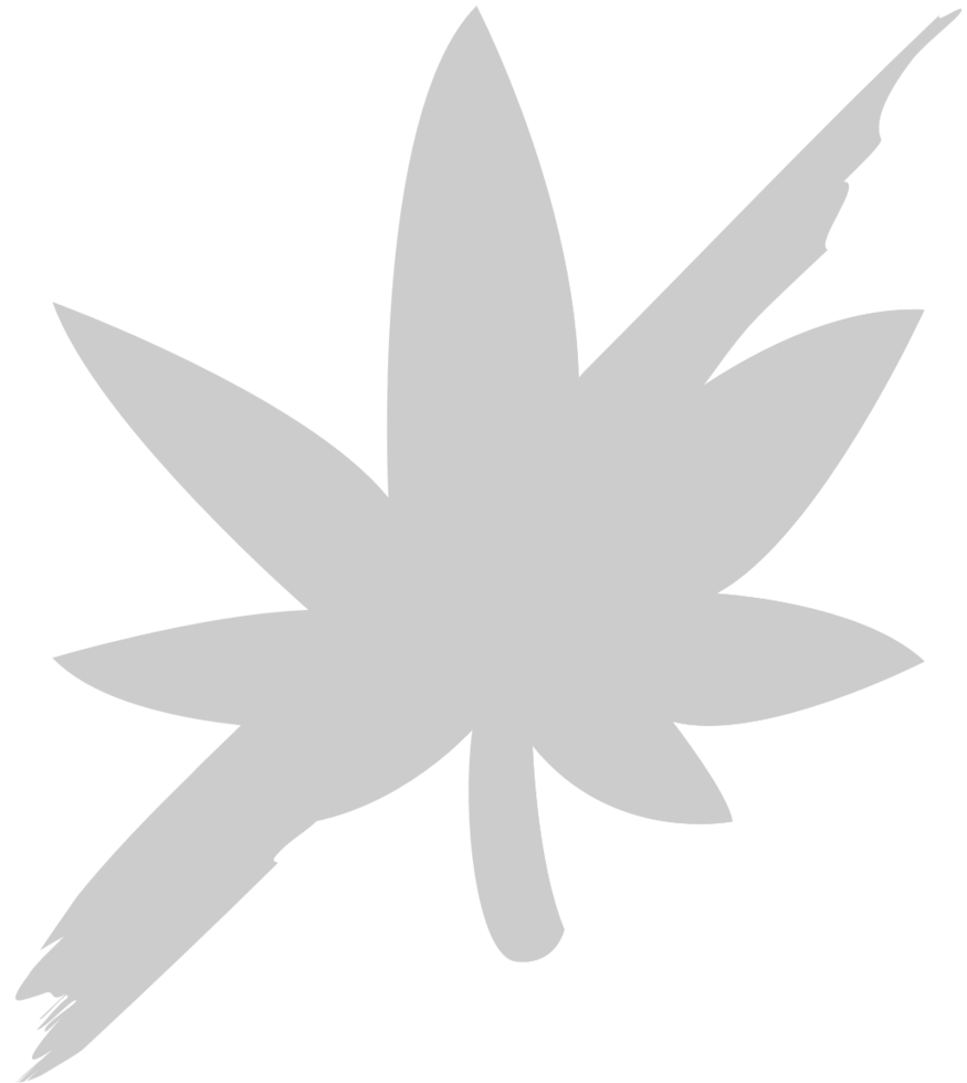 No drugs vector