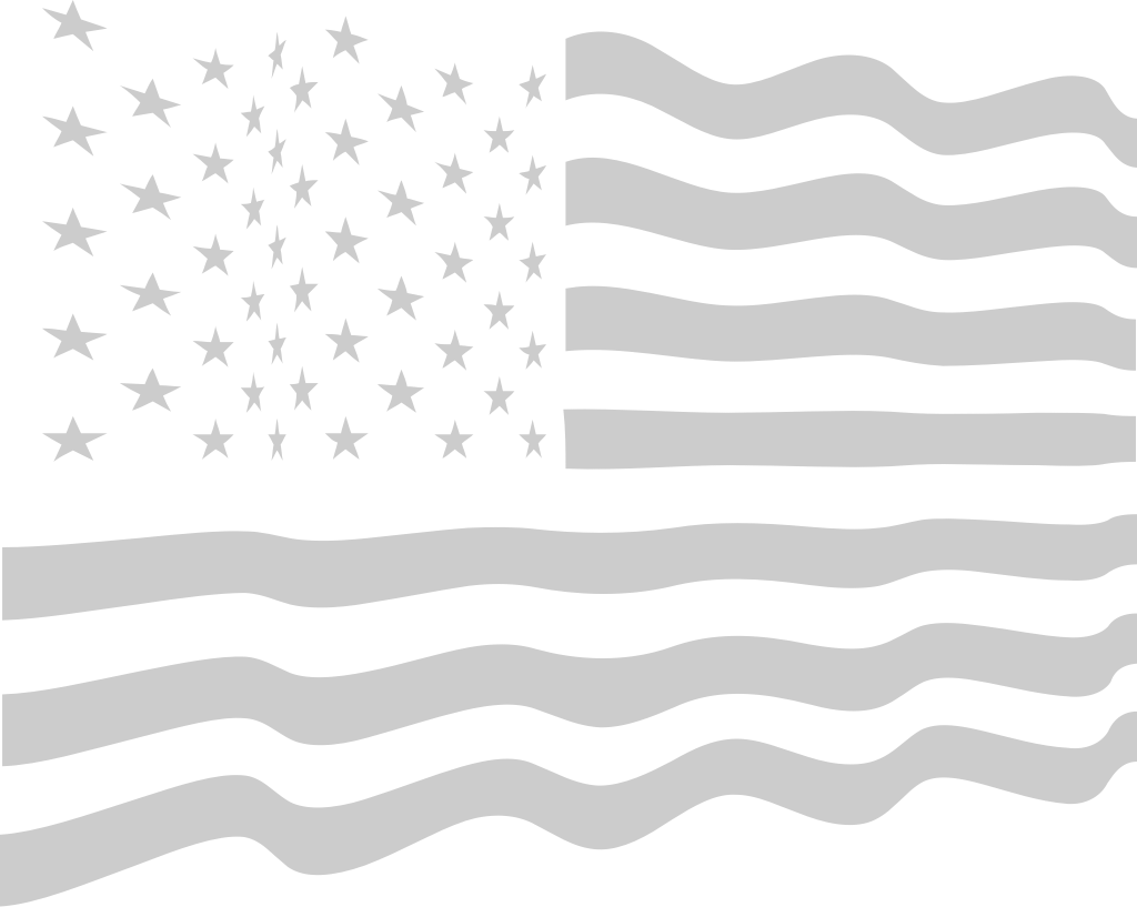 American Flag vector