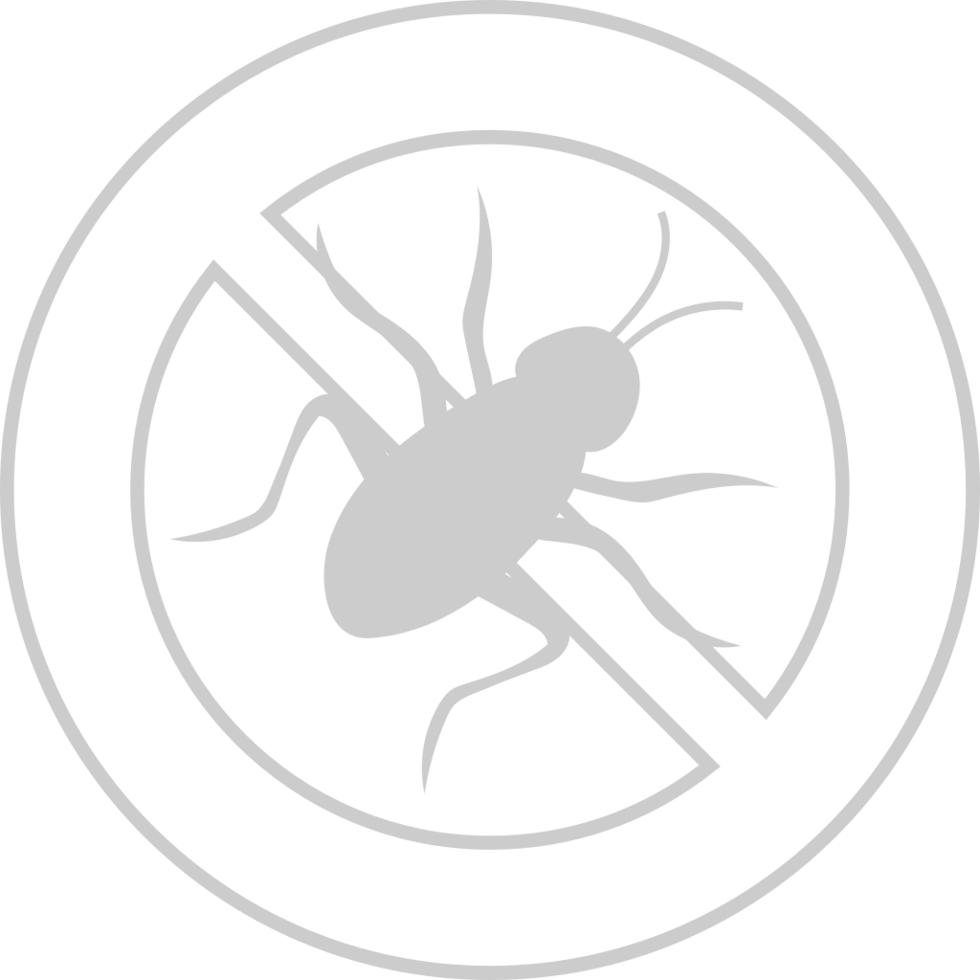 No cockroach  vector