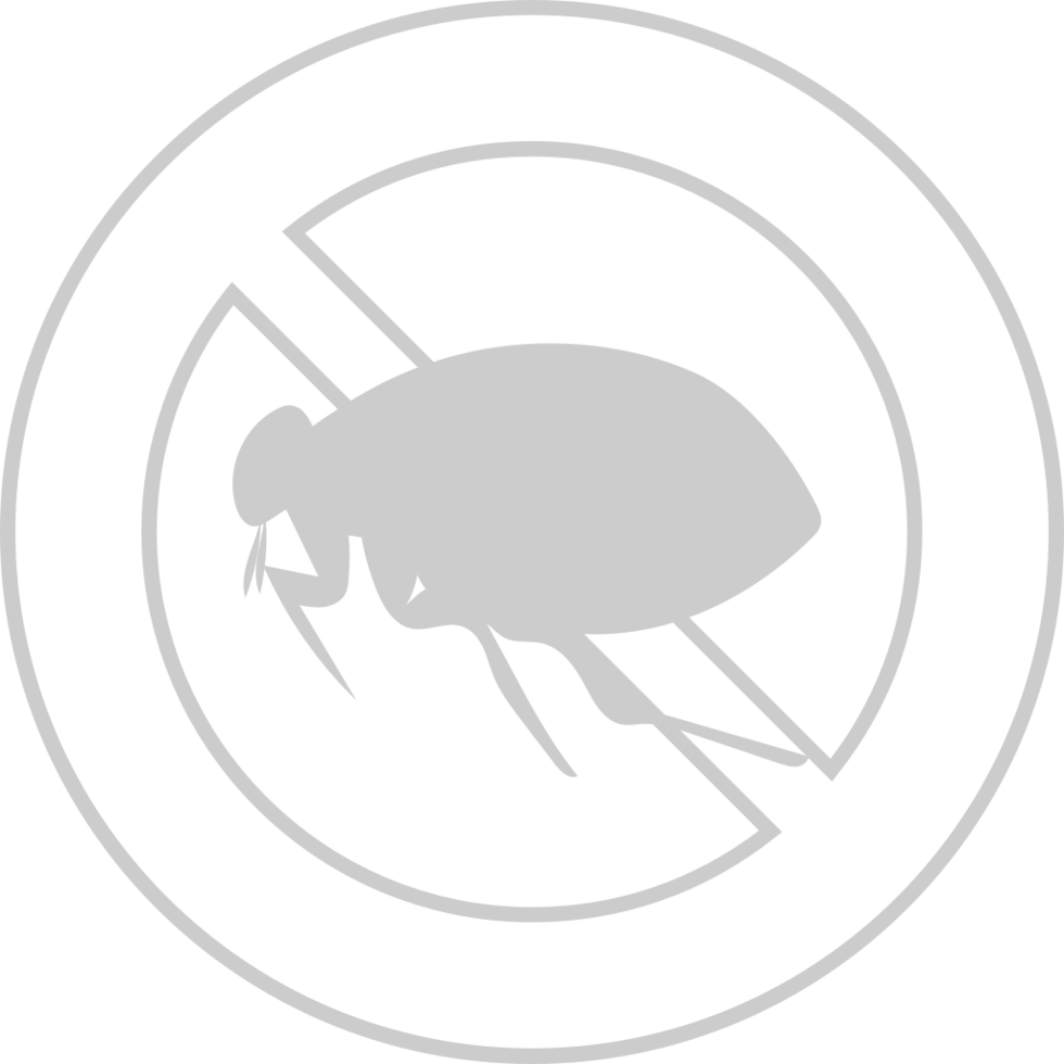Nobug vector