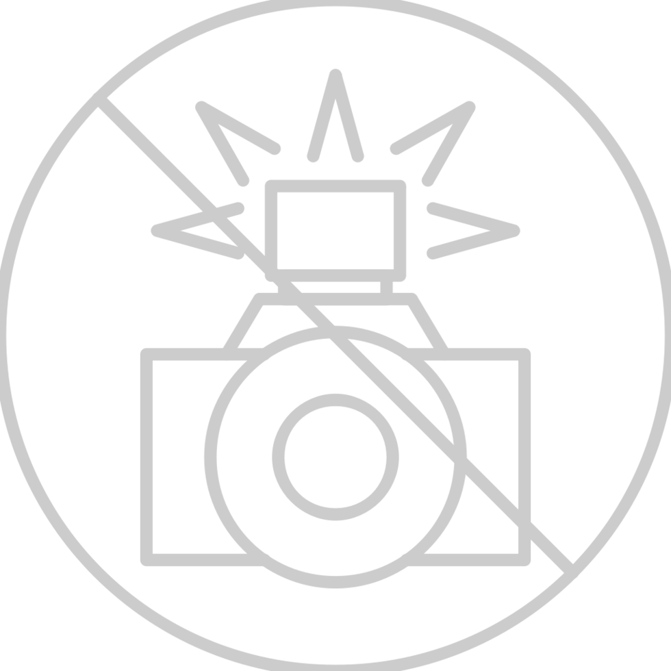 No flash light vector