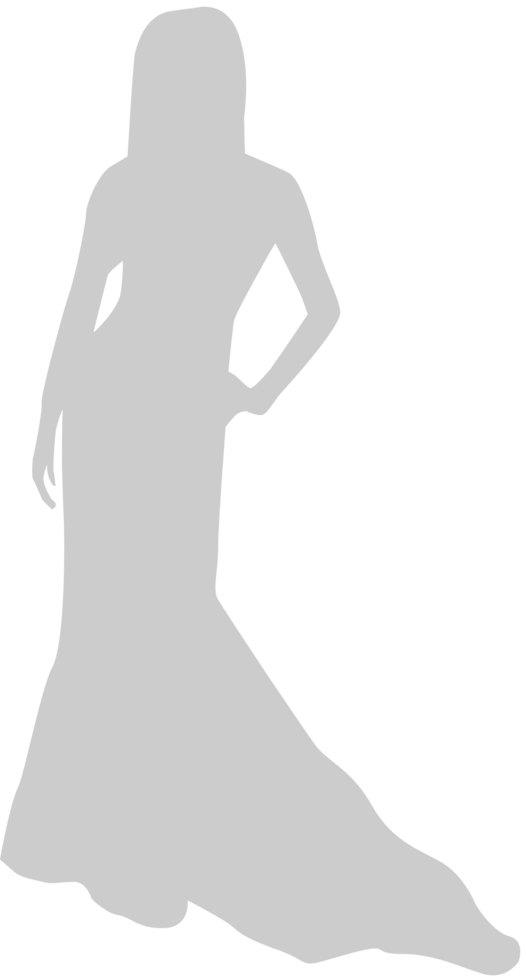 vestido formal vector