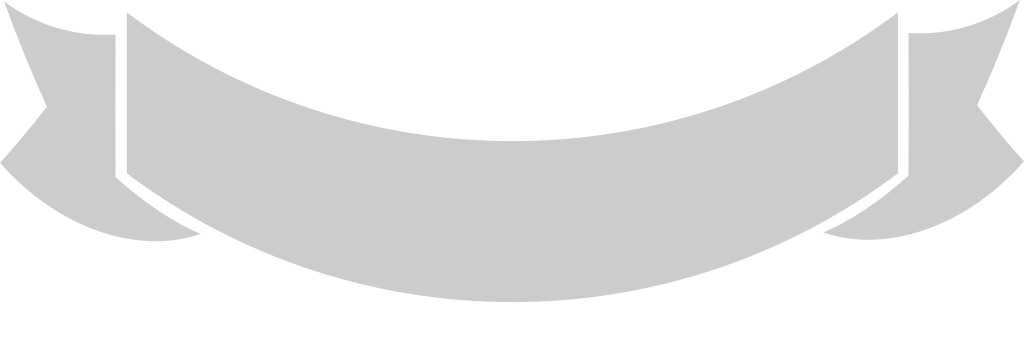 Banner vector