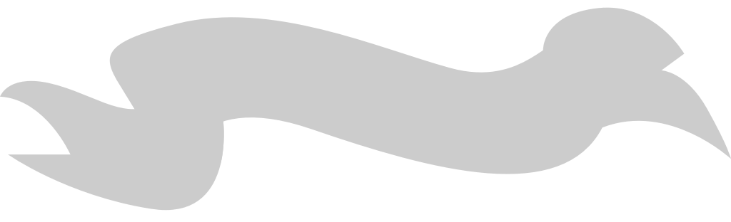 Ribbon banner vector