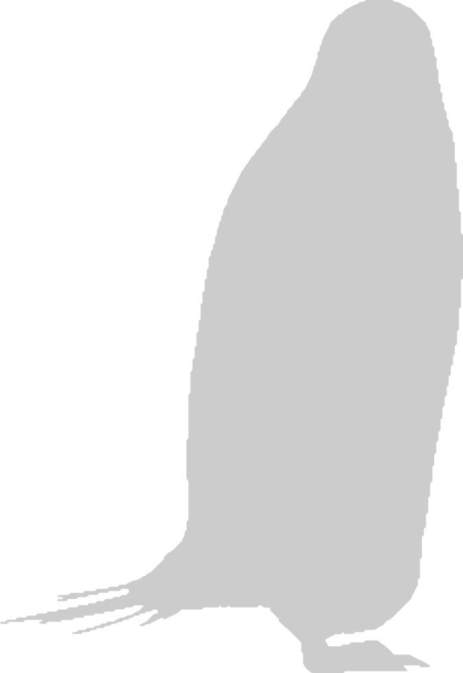 Penguin vector