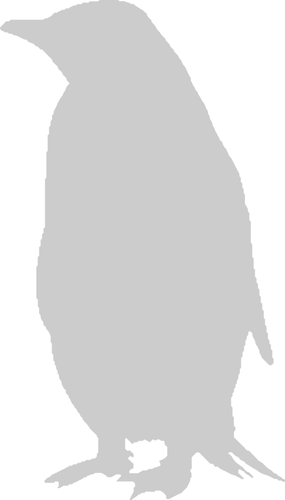 Penguin vector