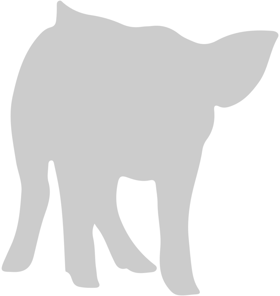 Pig vector