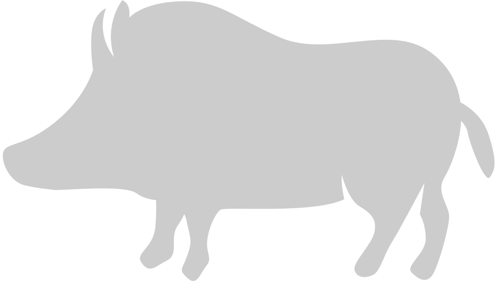 Pig vector