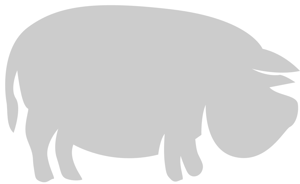 cerdo vector