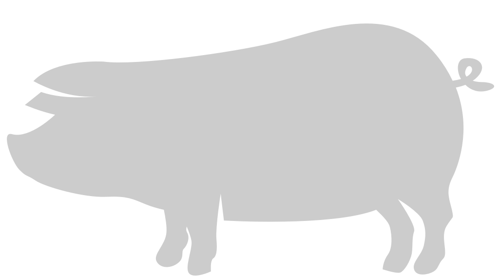 Pig vector