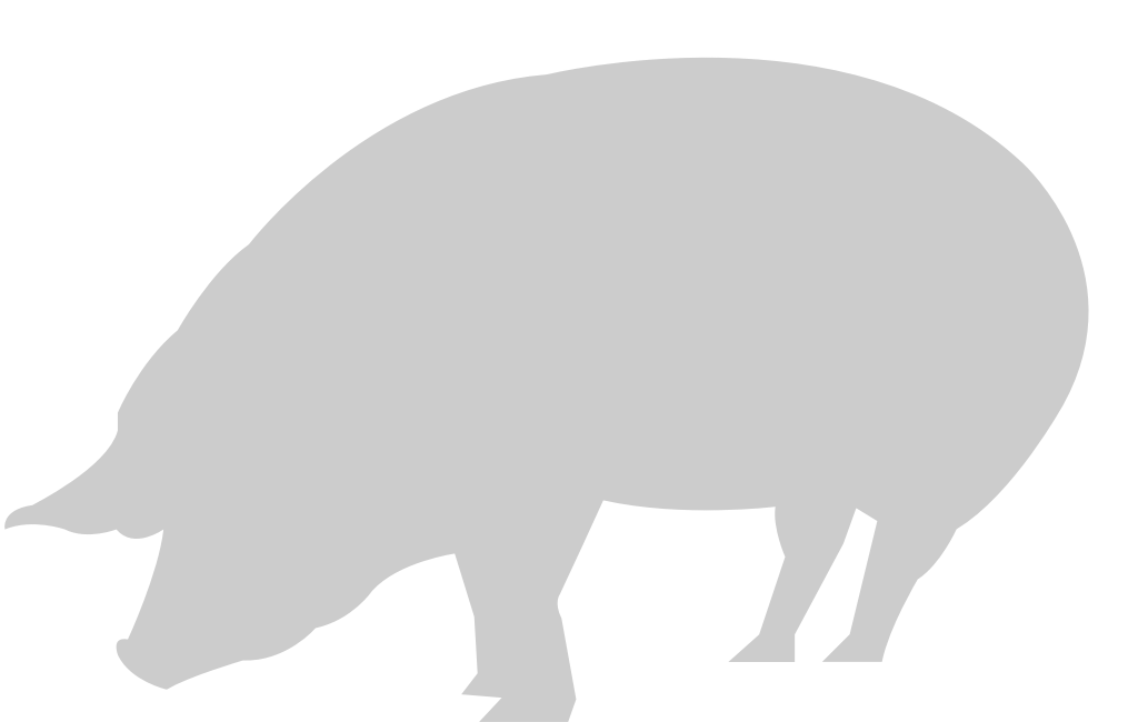 Pig vector