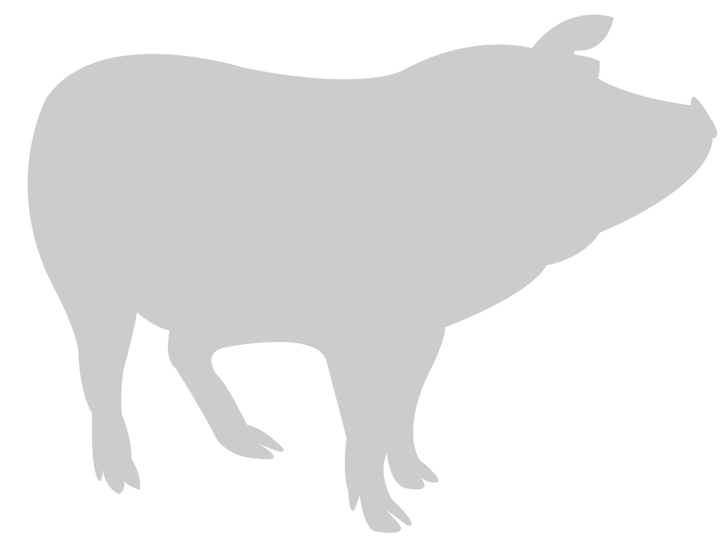 cerdo vector